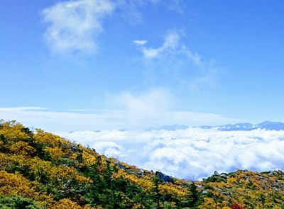 秋の気配が感じられます。